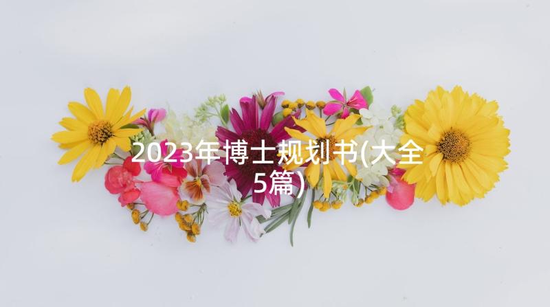 2023年博士规划书(大全5篇)