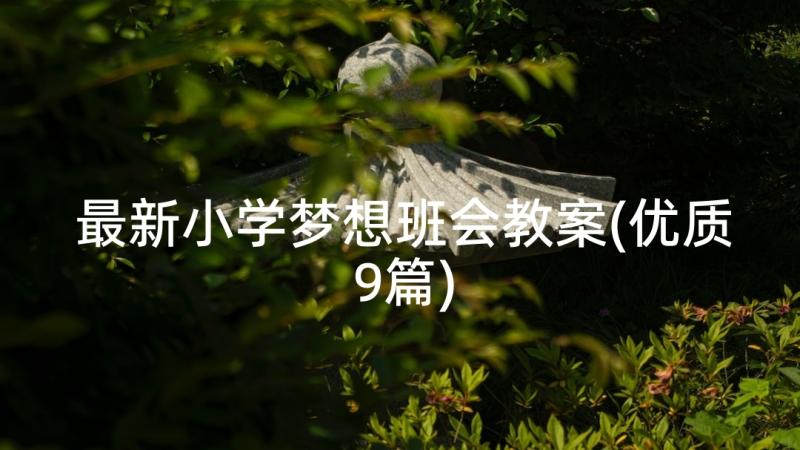 最新小学梦想班会教案(优质9篇)