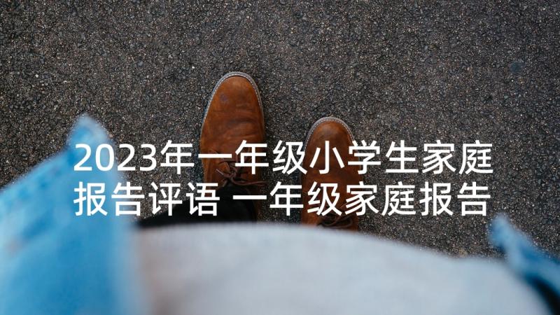 2023年一年级小学生家庭报告评语 一年级家庭报告书上的素质评语(通用5篇)