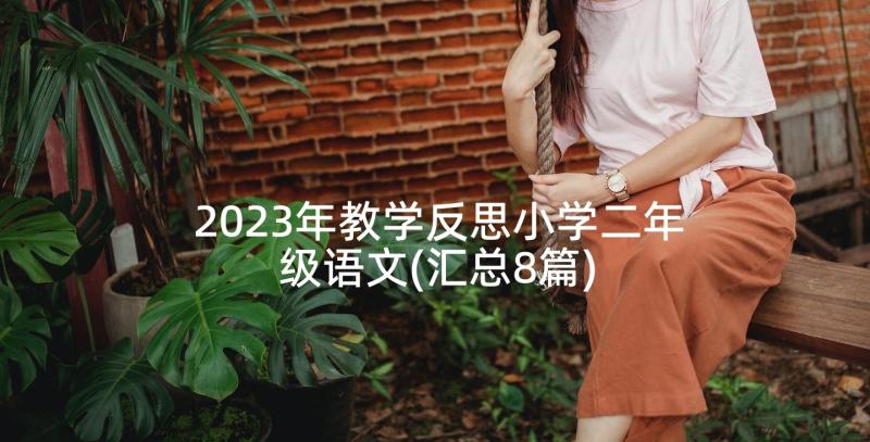 2023年教学反思小学二年级语文(汇总8篇)