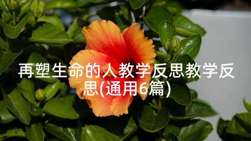 再塑生命的人教学反思教学反思(通用6篇)