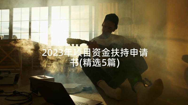 2023年项目资金扶持申请书(精选5篇)