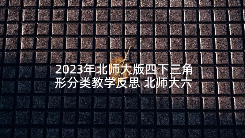 2023年北师大版四下三角形分类教学反思 北师大六年级数学教学反思(模板9篇)