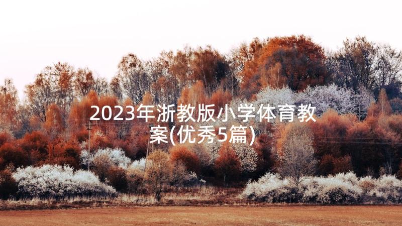 2023年浙教版小学体育教案(优秀5篇)