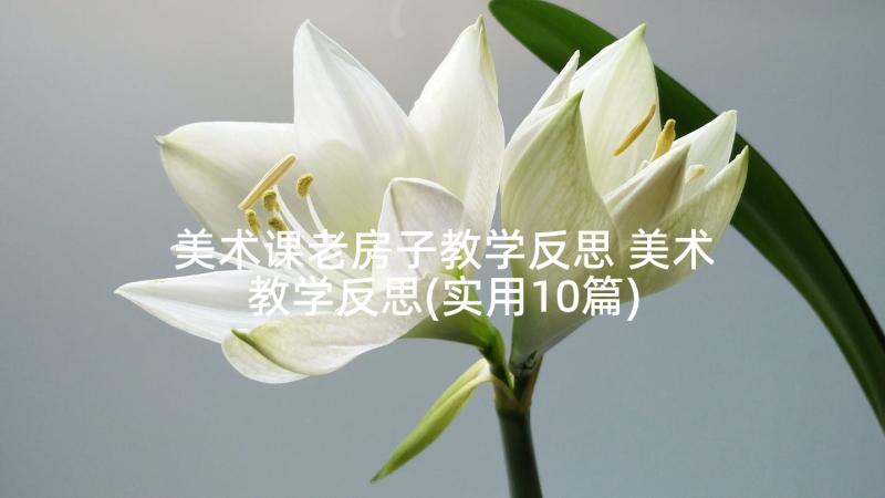 美术课老房子教学反思 美术教学反思(实用10篇)