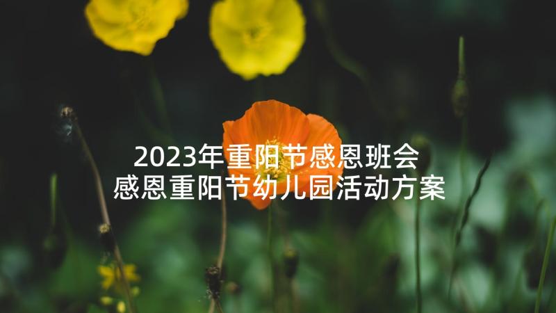 2023年重阳节感恩班会 感恩重阳节幼儿园活动方案(大全5篇)