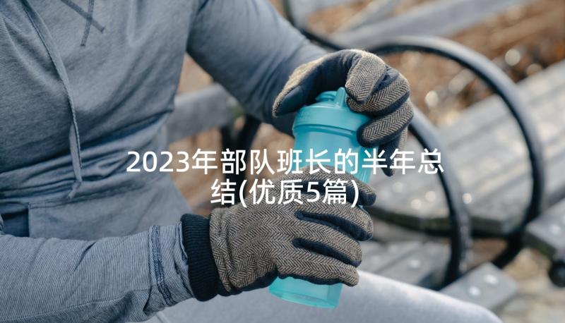 2023年部队班长的半年总结(优质5篇)