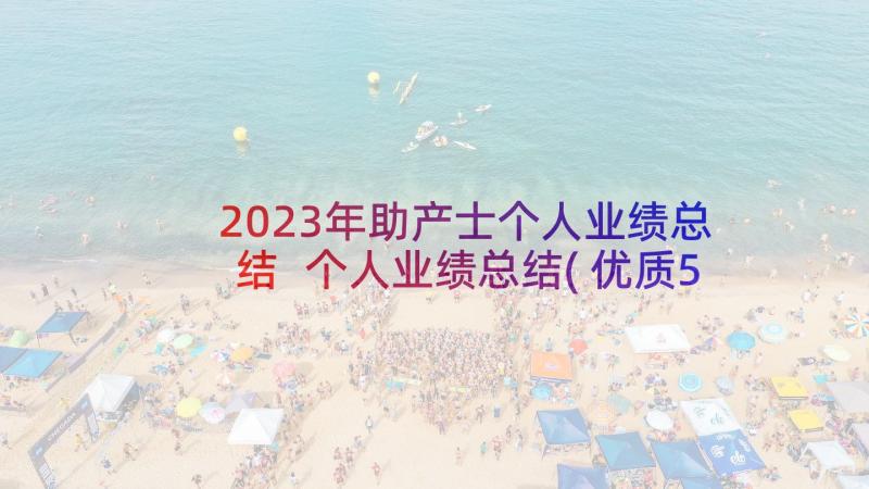 2023年助产士个人业绩总结 个人业绩总结(优质5篇)