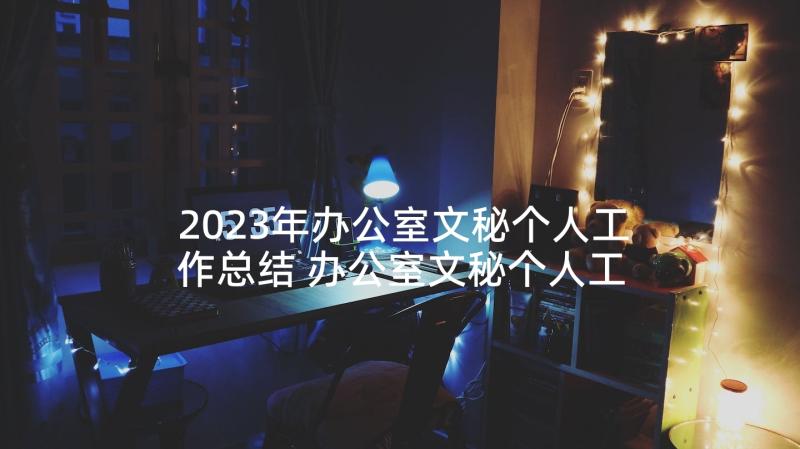 2023年办公室文秘个人工作总结 办公室文秘个人工作计划(优质5篇)