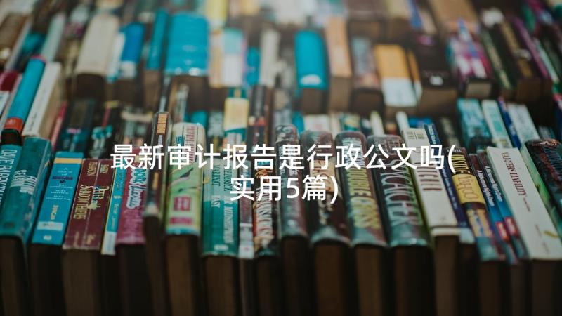 最新审计报告是行政公文吗(实用5篇)