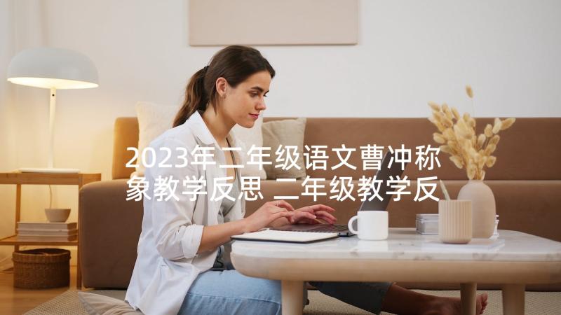 2023年二年级语文曹冲称象教学反思 二年级教学反思(优秀10篇)