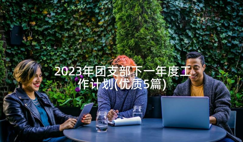 2023年团支部下一年度工作计划(优质5篇)