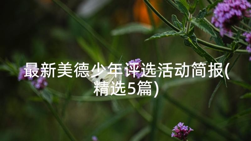 最新美德少年评选活动简报(精选5篇)