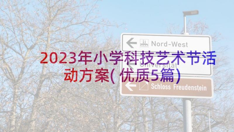 2023年小学科技艺术节活动方案(优质5篇)