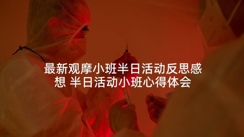 最新观摩小班半日活动反思感想 半日活动小班心得体会(实用5篇)