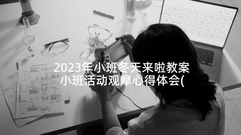 2023年小班冬天来啦教案 小班活动观摩心得体会(优质7篇)