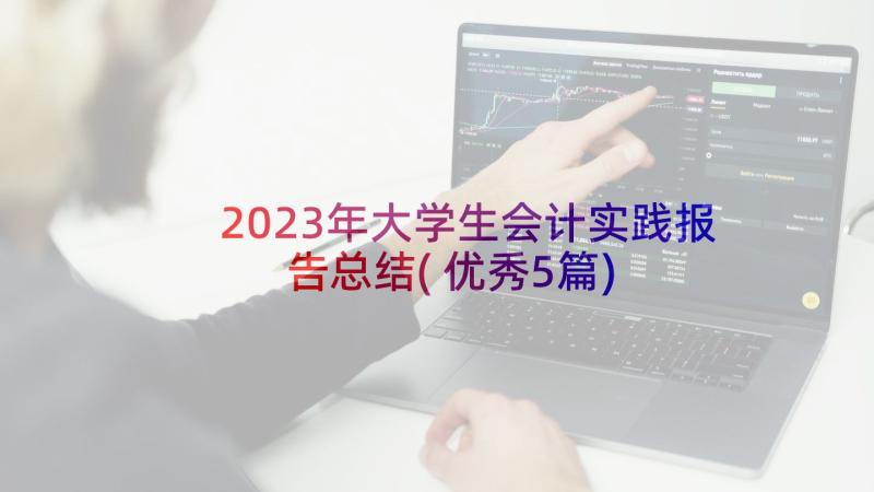 2023年大学生会计实践报告总结(优秀5篇)