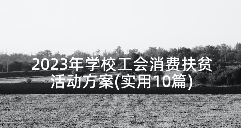 2023年学校工会消费扶贫活动方案(实用10篇)