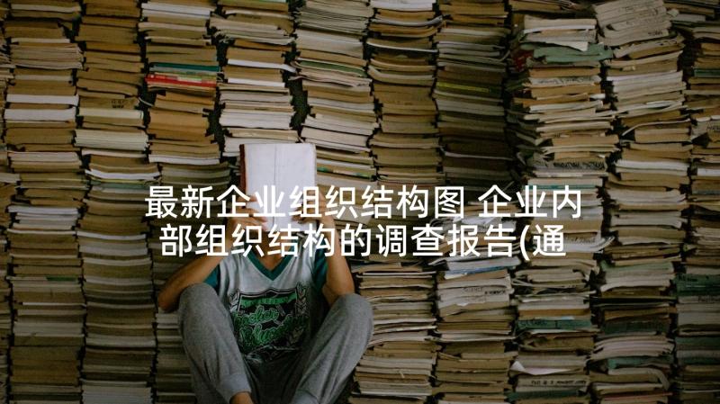 最新企业组织结构图 企业内部组织结构的调查报告(通用5篇)