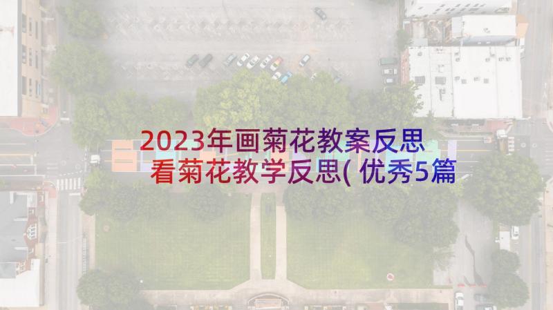 2023年画菊花教案反思 看菊花教学反思(优秀5篇)