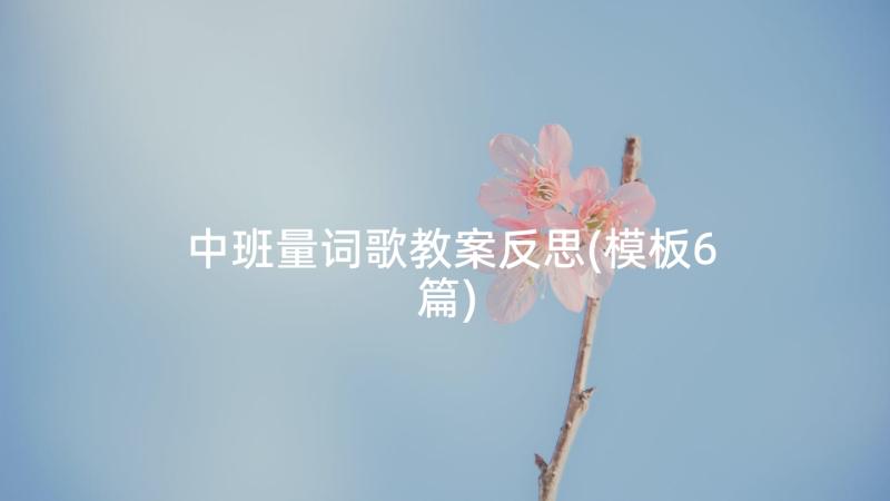 中班量词歌教案反思(模板6篇)