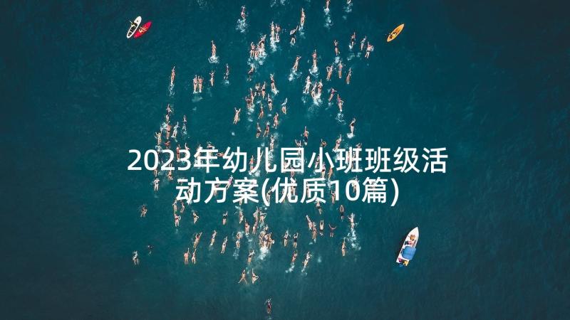 2023年幼儿园小班班级活动方案(优质10篇)