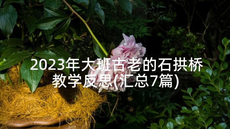 2023年大班古老的石拱桥教学反思(汇总7篇)