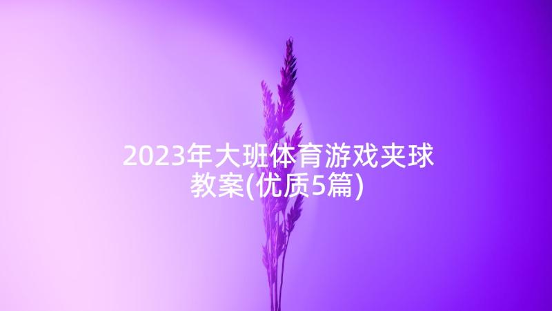 2023年大班体育游戏夹球教案(优质5篇)