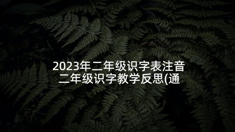 2023年二年级识字表注音 二年级识字教学反思(通用5篇)