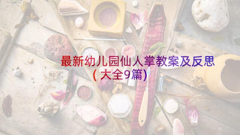 最新幼儿园仙人掌教案及反思(大全9篇)