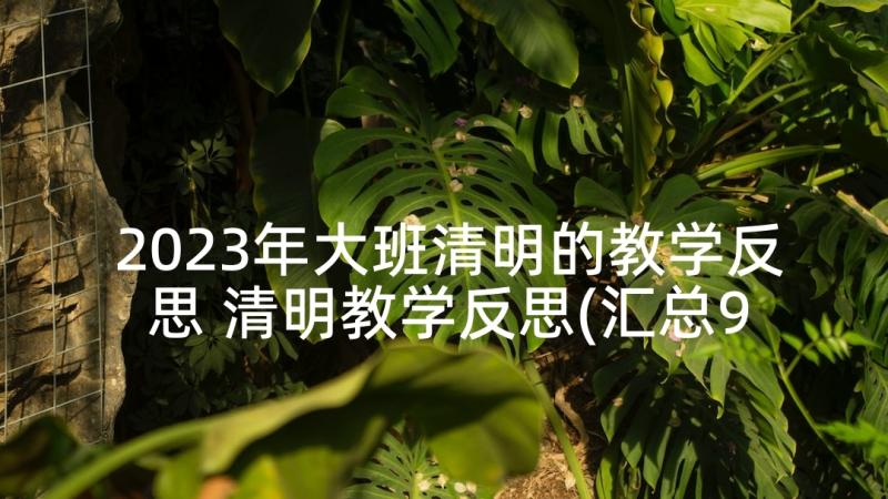 2023年大班清明的教学反思 清明教学反思(汇总9篇)