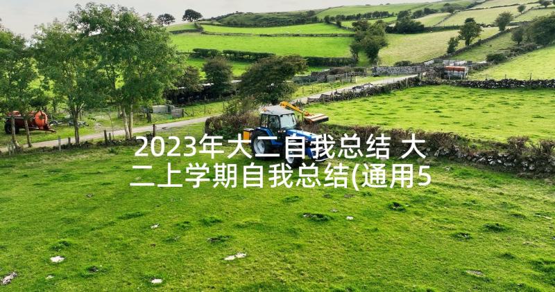 2023年大二自我总结 大二上学期自我总结(通用5篇)