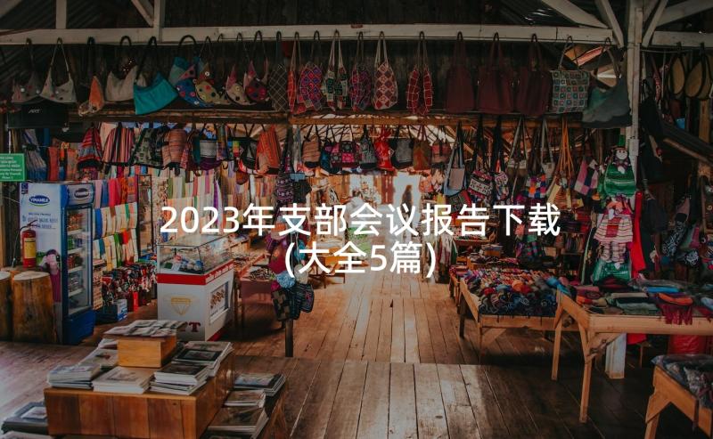 2023年支部会议报告下载(大全5篇)