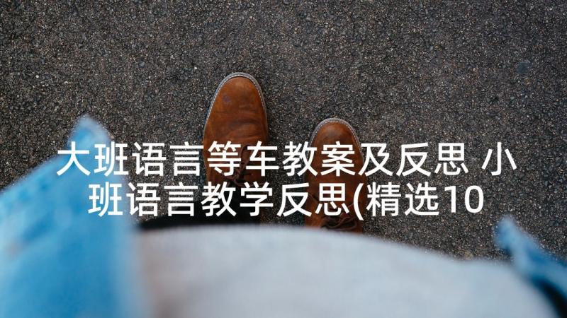 大班语言等车教案及反思 小班语言教学反思(精选10篇)