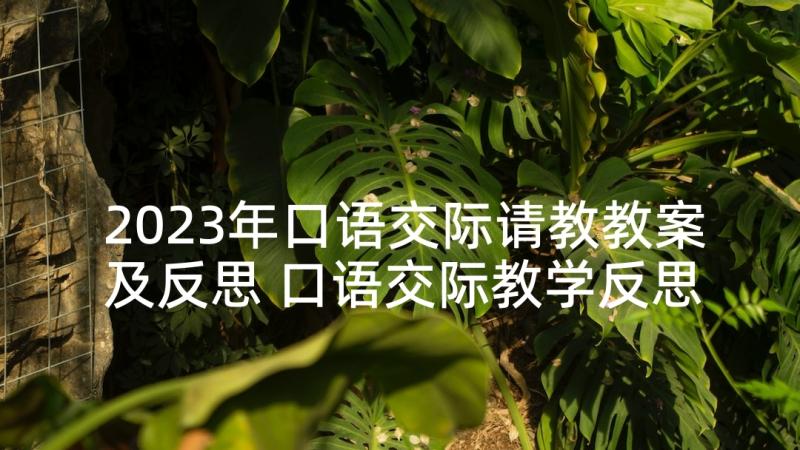 2023年口语交际请教教案及反思 口语交际教学反思(汇总7篇)