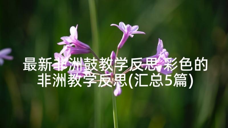 最新非洲鼓教学反思 彩色的非洲教学反思(汇总5篇)