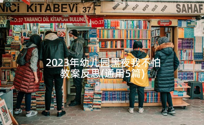 2023年幼儿园黑夜我不怕教案反思(通用5篇)