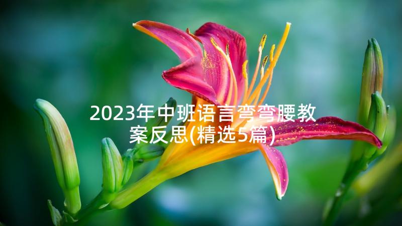 2023年中班语言弯弯腰教案反思(精选5篇)