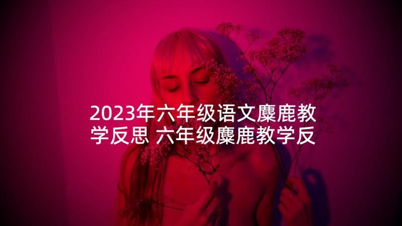 2023年六年级语文麋鹿教学反思 六年级麋鹿教学反思(汇总10篇)