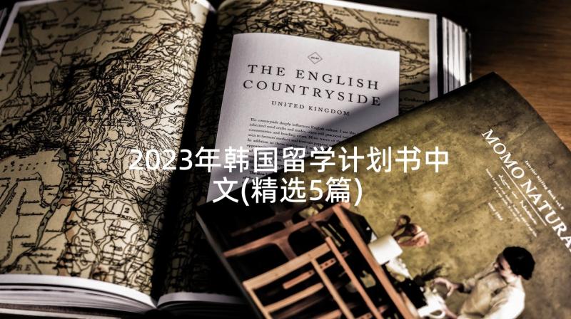 2023年韩国留学计划书中文(精选5篇)