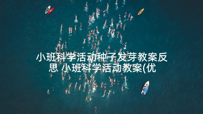 小班科学活动种子发芽教案反思 小班科学活动教案(优质8篇)