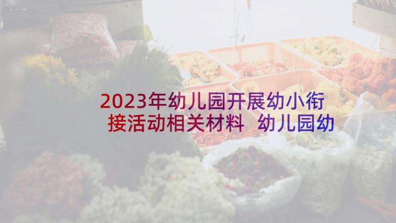 2023年幼儿园开展幼小衔接活动相关材料 幼儿园幼小衔接活动方案(大全6篇)