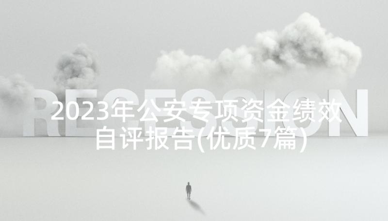 2023年公安专项资金绩效自评报告(优质7篇)