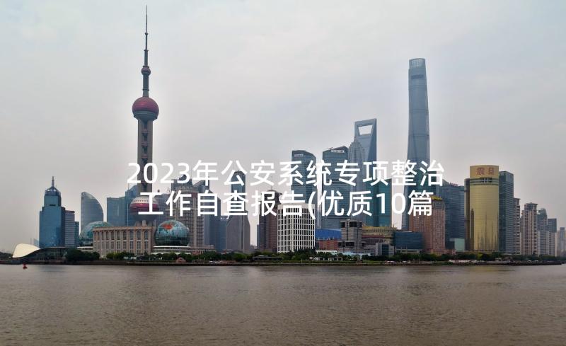 2023年公安系统专项整治工作自查报告(优质10篇)