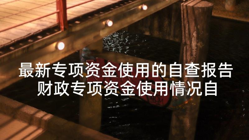 最新专项资金使用的自查报告 财政专项资金使用情况自查报告(精选5篇)