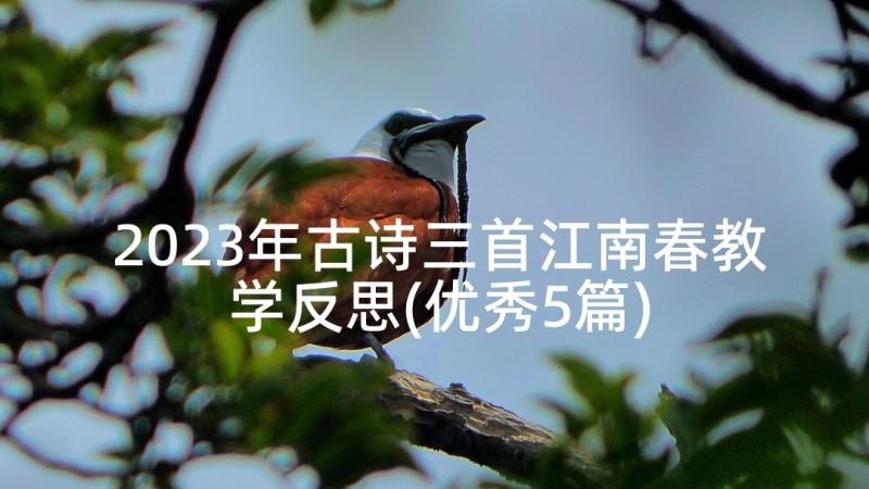 2023年古诗三首江南春教学反思(优秀5篇)