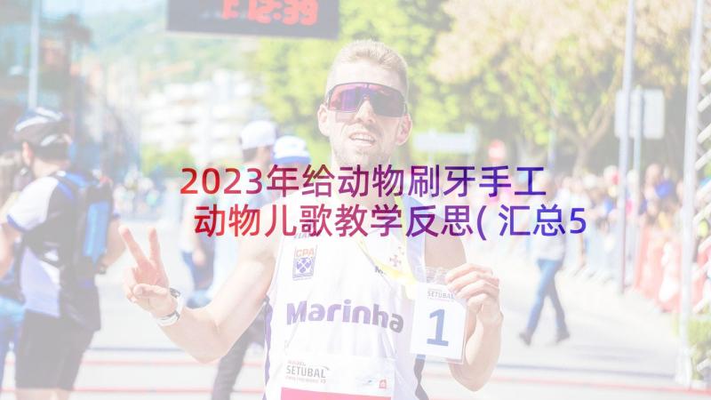 2023年给动物刷牙手工 动物儿歌教学反思(汇总5篇)