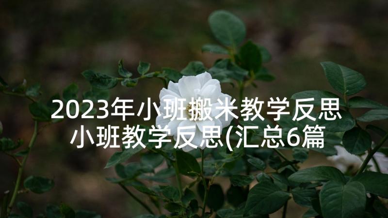 2023年小班搬米教学反思 小班教学反思(汇总6篇)