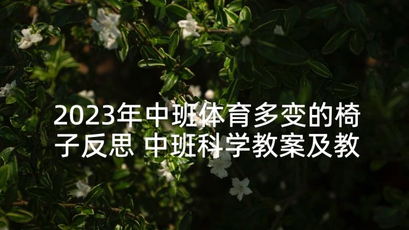 2023年中班体育多变的椅子反思 中班科学教案及教学反思多变的风(汇总5篇)