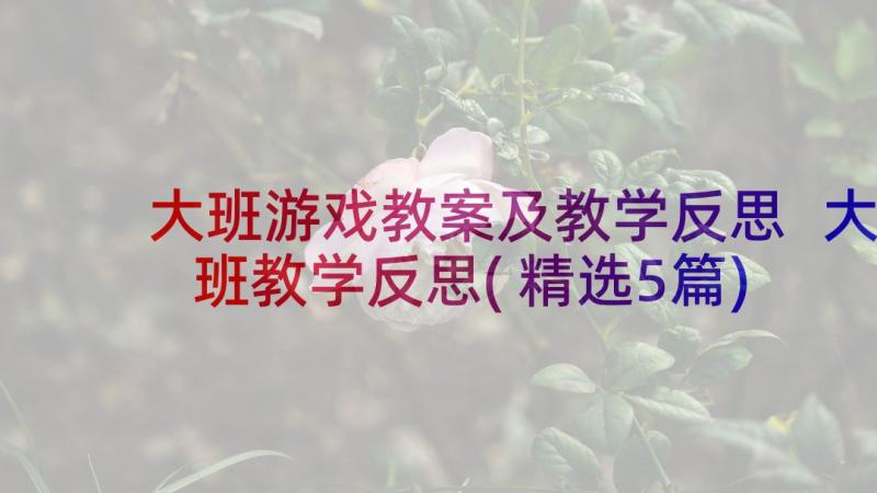 大班游戏教案及教学反思 大班教学反思(精选5篇)